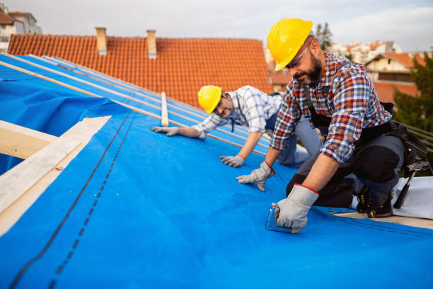 Best Roof Leak Repair  in Somerset, WI