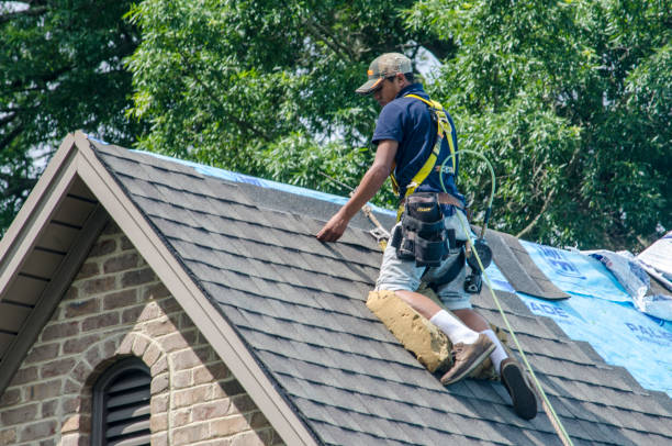 Best Roof Repair Services  in Somerset, WI